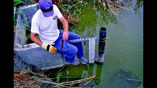 Monitoring Water Quality with HOBO Data Loggers [upl. by Olivier]