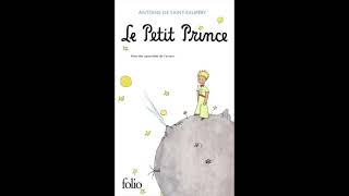 Le Petit PrinceAUDIO [upl. by Oinotnas]