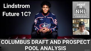 COLUMBUS BLUE JACKETS 2024 DRAFT amp PROSPECT POOL BREAKDOWN  Scouts Analysis [upl. by Aisac]