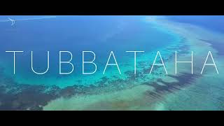 Dive Tubbataha in the Philippines with the Discovery Fleet [upl. by Aieka]