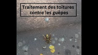 Traitement préventif dune toiture contre les invasions de guêpes lété [upl. by Nylloc944]