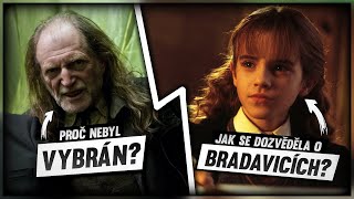 JAK JSOU STUDENTI VYBÍRÁNI DO BRADAVIC  HARRY POTTER  FK [upl. by Etnohc]