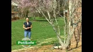 Petsafe Inground fence planning and installation video [upl. by Ynnaffit]