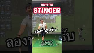 STINGER SHOT 🎯 golfswing golfswag golfmaster [upl. by Casie121]