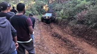 Toolangi Off Road blowhard track [upl. by Eveivaneg]