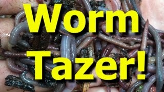 Worm Tazer Catching tons of earthworms for bait with electricity [upl. by Nalyt]