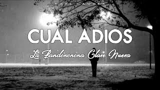 Cual Adios  Banda Clave Nueva Letra [upl. by Docile]