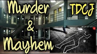 Murder amp Mayhem Inside Of The Walls  17 Homicides This Year And Counting [upl. by Liahcim]