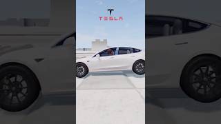 Tesla vs Lada Which Would You Buy [upl. by Hayilaa]