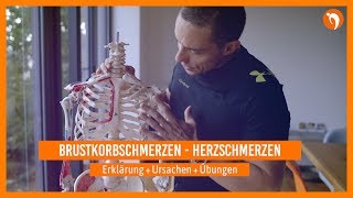 Brustkorbschmerzen 🔸Herzschmerzen 🔸 Erklärung  Ursachen  Übungen [upl. by Aikenat]