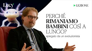 Perché rimaniamo bambini così a lungo La lezione di Telmo Pievani  Lucy  Sulla cultura [upl. by Enneite]