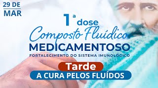 TARDE 1° COMPOSTO FLUÍDICO MEDICAMENTOSO  Reunião com o Irmão Bezerra de Menezes [upl. by Abraham]