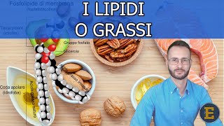 006 I Lipidi livello base [upl. by Graubert]