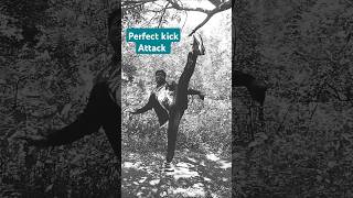 Master the Perfect Karate Kick Attack in 2024  Karate Tutorial। [upl. by Nyleuqcaj]