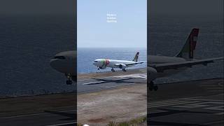 A330941 TAP✈️🛬 landing at Madeira Airport aviation airbus a330 tap tapairportugal airport [upl. by Su51]