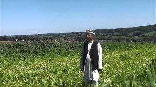 New pashto song 2012 [upl. by Nsaj]