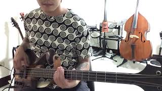 The Claypool Lennon Delirium  Cricket and the Genie Bass Cover [upl. by Gray]