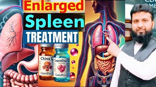 Enlarged spleen treatment in homeopathy•ChinaQCeoanthusQ [upl. by Aicilyt]