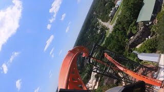 Tigris pov BUSCH GARDENS TAMPA [upl. by Malcah372]