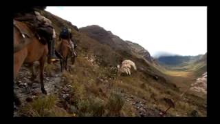 Reportaje al Perú Gran Pajatén el tesoro de los chachapoyas  cap 2 [upl. by Adyaj479]