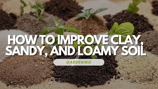 How to Improve Clay Sandy and Loamy Soil [upl. by Anaigroeg]