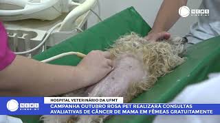 CAMPANHA OUTUBRO ROSA PET REALIZARÁ CONSULTAS AVALIATIVAS DE CÂNCER DE MAMA EM FÊMEAS GRATUITAMENTE [upl. by Scrope884]