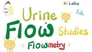 Urinary Incontinence amp Urine retention  Urine flow studies Flowmetry  Urodynamic StudiesUrology [upl. by Shaum104]