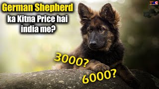 GERMAN SHEPHERD DOG Price in India  Average Price Kya Hai [upl. by Nader]