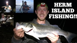 HERM ISLAND FISHING Bait Fishing for Bull Huss  Sea Bass and more [upl. by Darnoc]