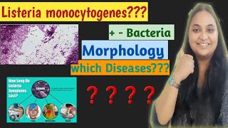 Listeria monocytogenes  growthDiseases bacteria structure  Morphology English Hindi [upl. by Oliver]