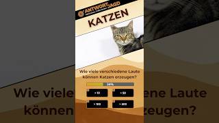 Wie viele Laute kann eine Katze machen  Mögen Katzen Süßigkeiten katze quiz tiere [upl. by Llirrehs234]