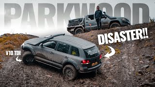 We take a bunch of VWs and Porsches OFFROAD 😈 Darkside Parkwood Takeover [upl. by Coulson]