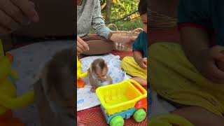 Baby Playing Toys With Mom and Brother [upl. by Sum]