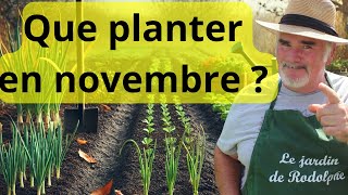 10 légumes que tu peux encore planter en novembre même par temps froid [upl. by Rheingold10]