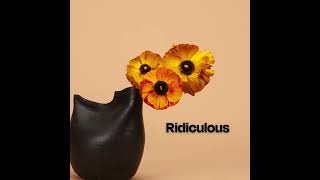 Ranunculus  Ridiculous [upl. by Buckden]