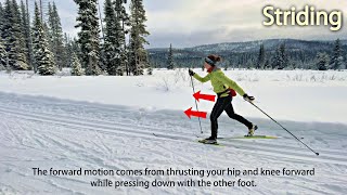 How To Glide In CrossCountry Skiing  Salomon HowTo [upl. by Hannan463]