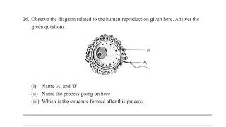 8th Std Science Model Paper 2 2023 2024  8th Standard Final Exam Question paper [upl. by Enelrae]