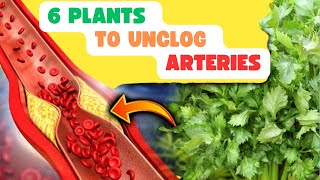 AVOID a INFARCT The 6 PLANTS that CLEAN BLOCKED VEINS and ARTERIES  Lower CHOLESTEROL [upl. by Dazraf344]