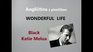 Angličtina pro mírně pokročilé s písničkou WONDERFUL LIFE kurz angličtiny na YouTube [upl. by Ardnahcal72]