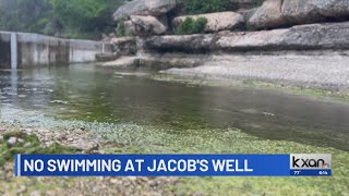 Jacob’s Well suspends 2024 swimming season [upl. by Eppillihp]