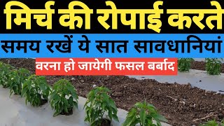 ऐसे कीजिये जुगाड़ प्लांटेशन  100 Result  Plantation Nursery Drenching All Information [upl. by Saixela]