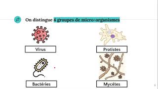 Les microorganismes 🦠 [upl. by Akemrej]