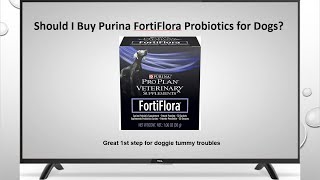 Should I buy Purina FortiFlora Probiotics for Dogs [upl. by Nyllij]