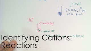 Identifying Cations Reactions [upl. by Karlik351]