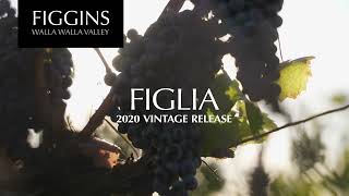 2020 FIGGINS Figlia Release [upl. by Yllime]