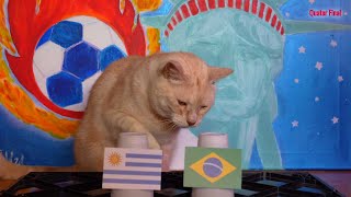 Uruguay Vs Brazil  Cats Copa América 2024 Prediction [upl. by Yelnoc820]