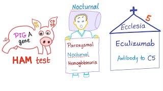 Paroxysmal Nocturnal Hemoglobinuria PNH Mnemonic [upl. by Dagney]