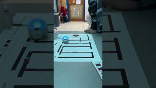 Ozobots in the classroom2023 [upl. by Karilla]