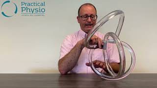 Benign Paroxysmal Positional Vertigo BPPV explained on 3D anatomical model [upl. by Lyons]