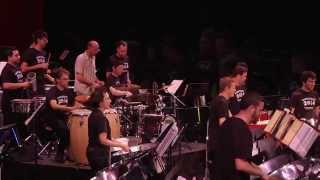 Massive Band 2014 Steelband Paradise  Ray Holman [upl. by Dorran]